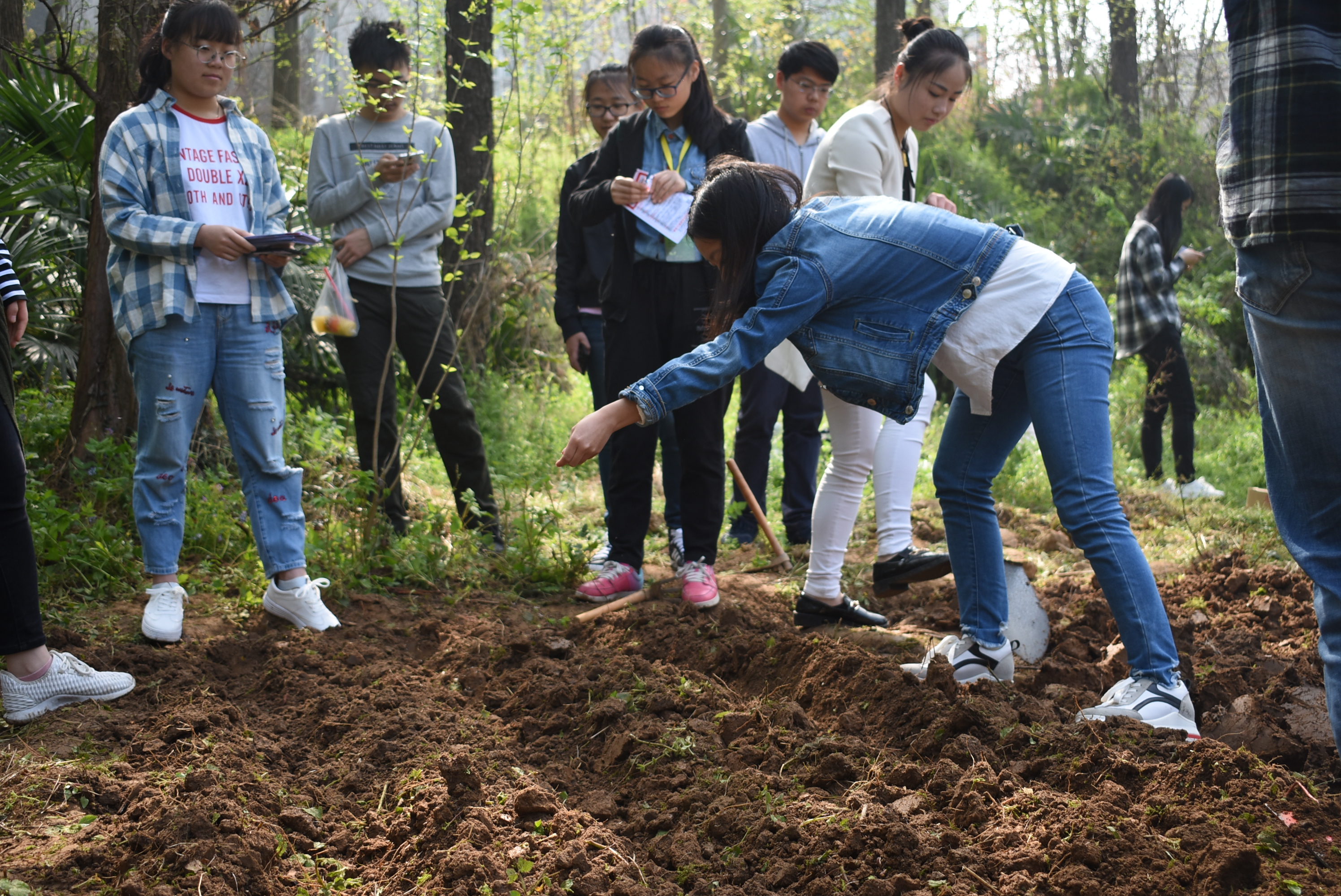 我院根与芽协会举办农耕体验活动